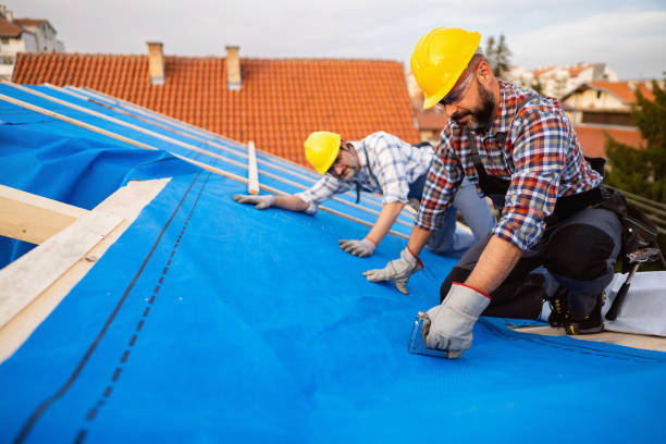 Best Roof Waterproofing Services  in Mount Vernon, IL