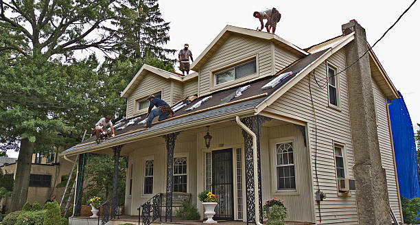Best Roof Replacement Cost  in Mount Vernon, IL